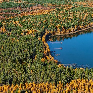 Экотерапия в «Красном Бору»