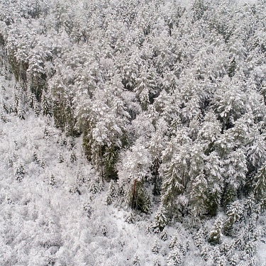Фото Сергея Плыткевича