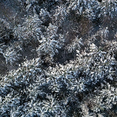 Фото Сергея Плыткевича