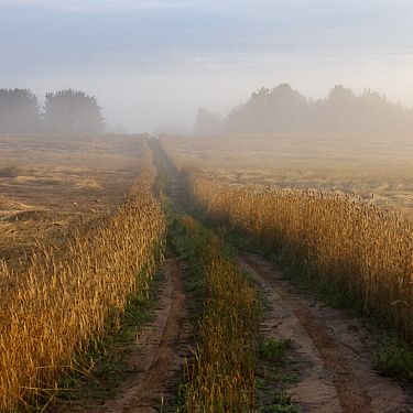 Дорога