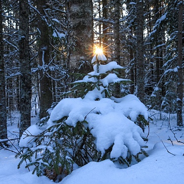 Фото Сергея Плыткевича