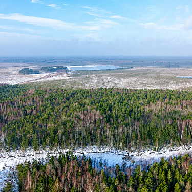 Красноборские просторы