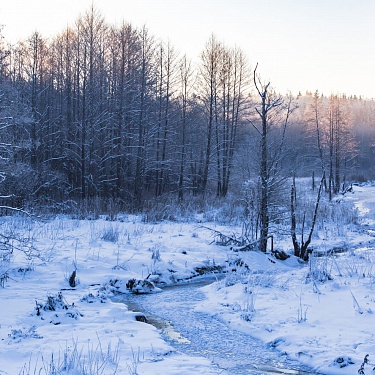 Пейзаж
