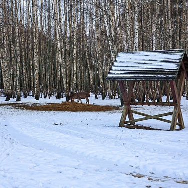 Фото Татьяны Говорко